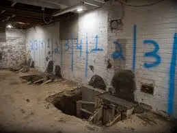download (1)